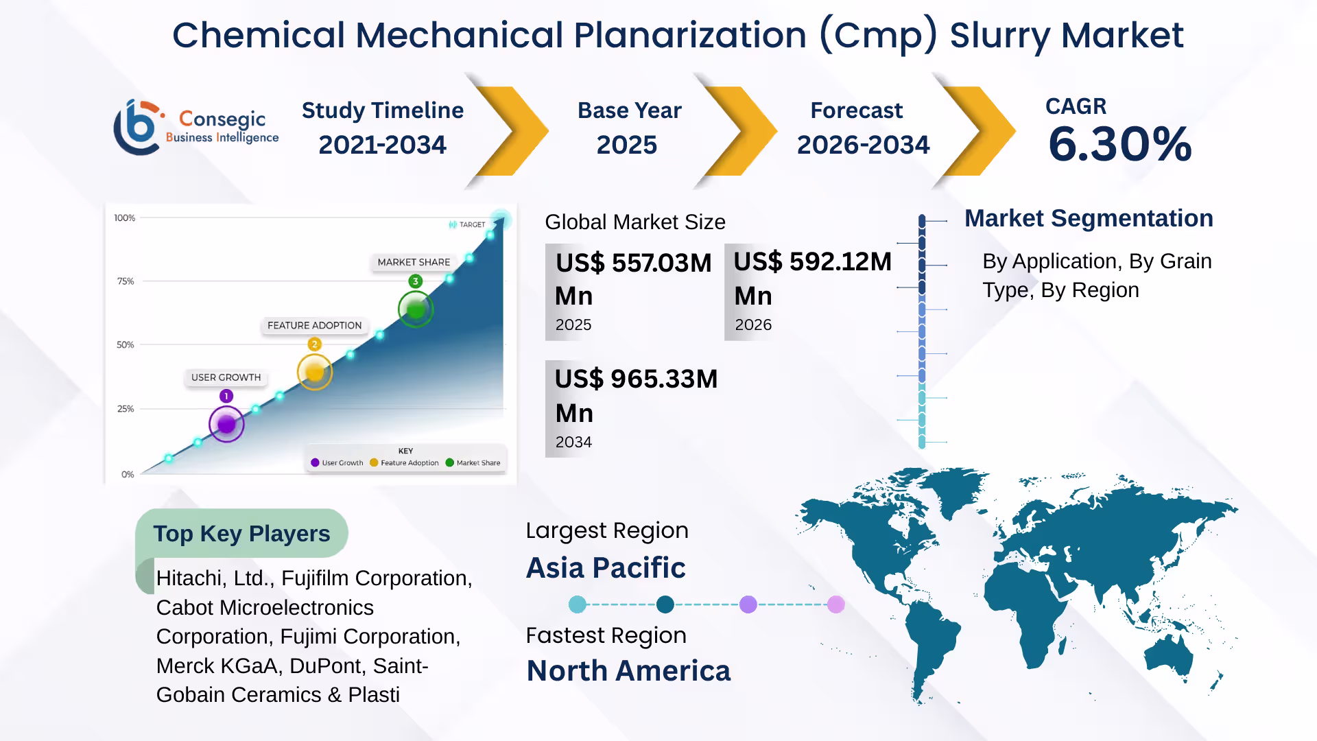 Chemical Mechanical Planarization (CMP) Slurry Market 