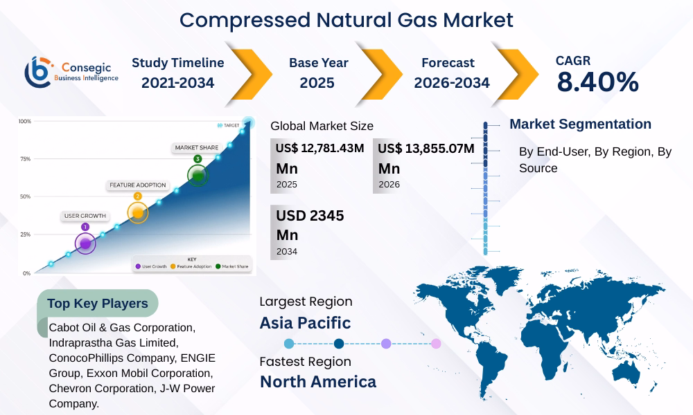 Compressed Natural Gas (CNG) Market 