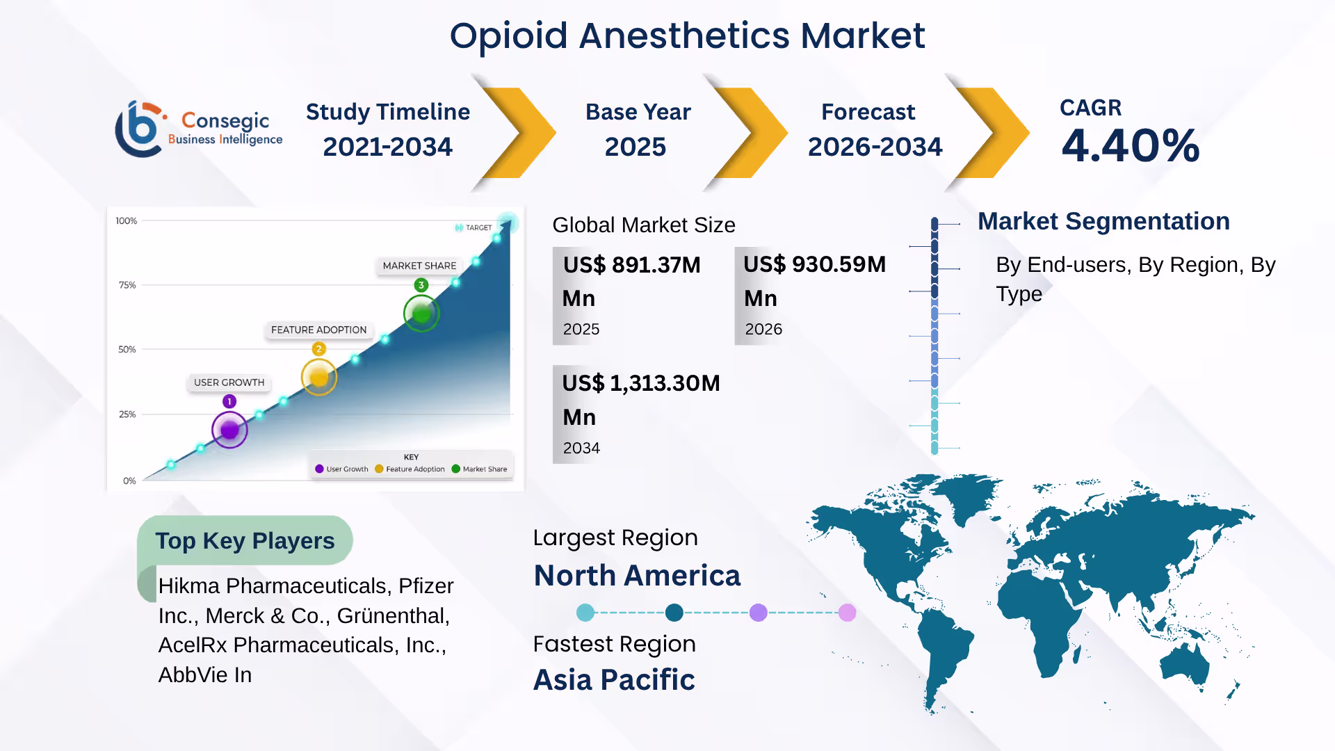 Opioid Anesthetics Market 