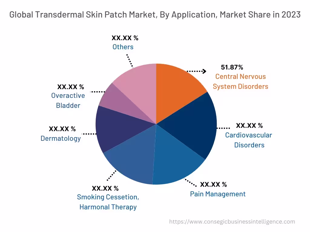 Transdermal Skin Patch Market By Application Transdermal Skin Patch Market By Application