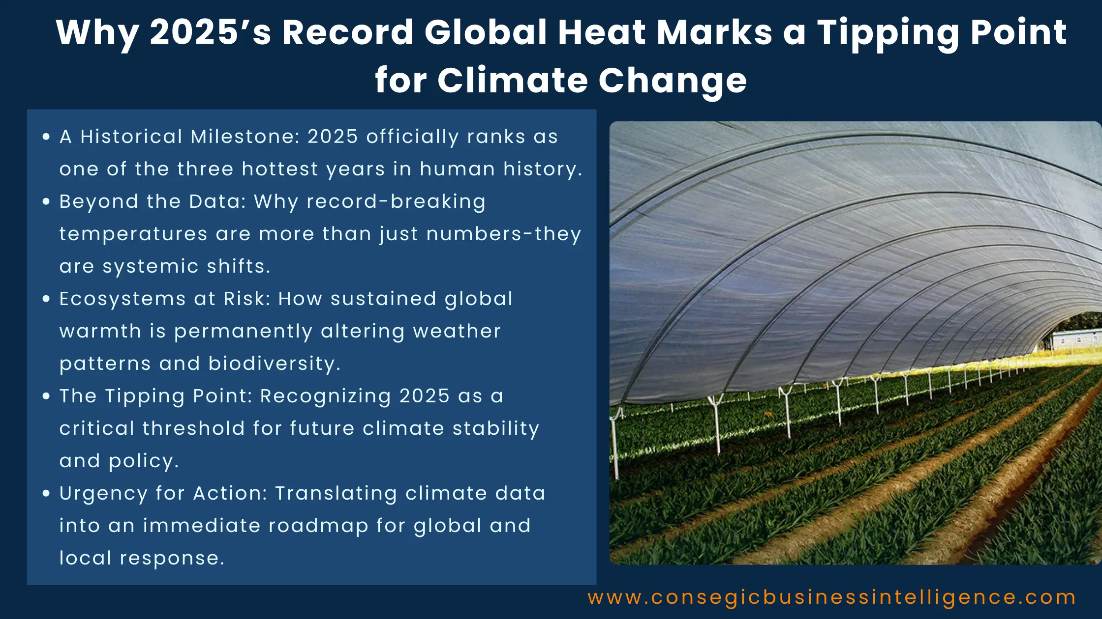 Why 2025's Record Global Heat Marks a Tipping Point for Climate Change Blog