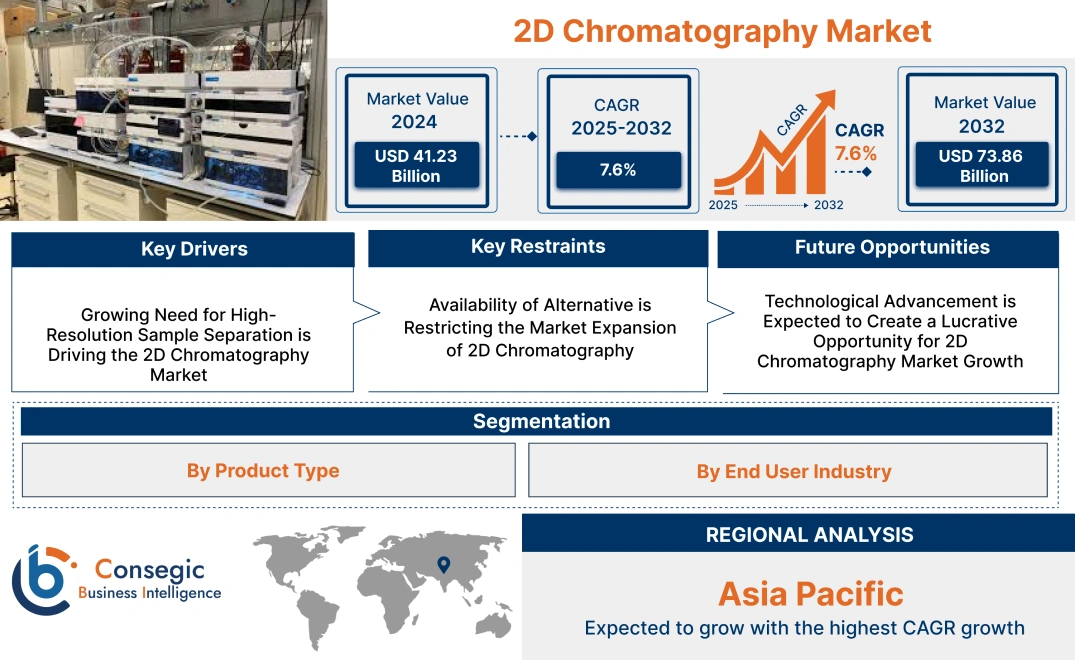 2D Chromatography Market 2D Chromatography Market