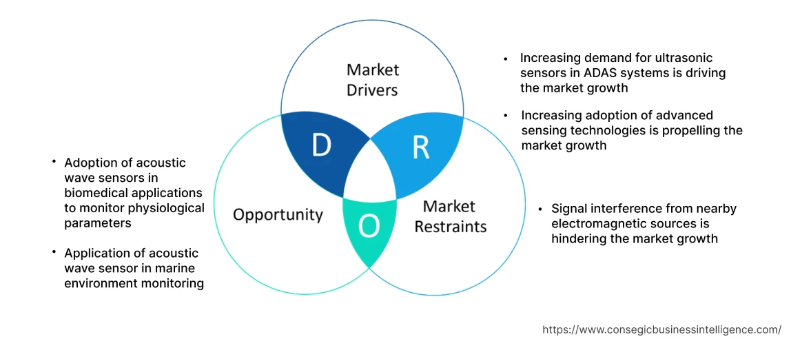 Acoustic Wave Sensor Market Dynamics