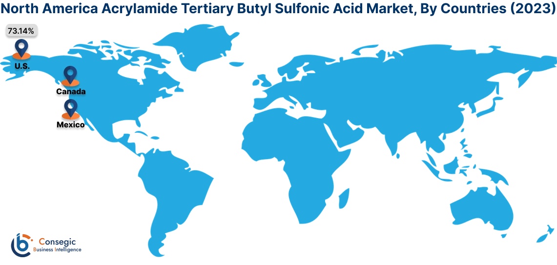 Acrylamide Tertiary Butyl Sulfonic Acid Market By Country Acrylamide Tertiary Butyl Sulfonic Acid Market By Country