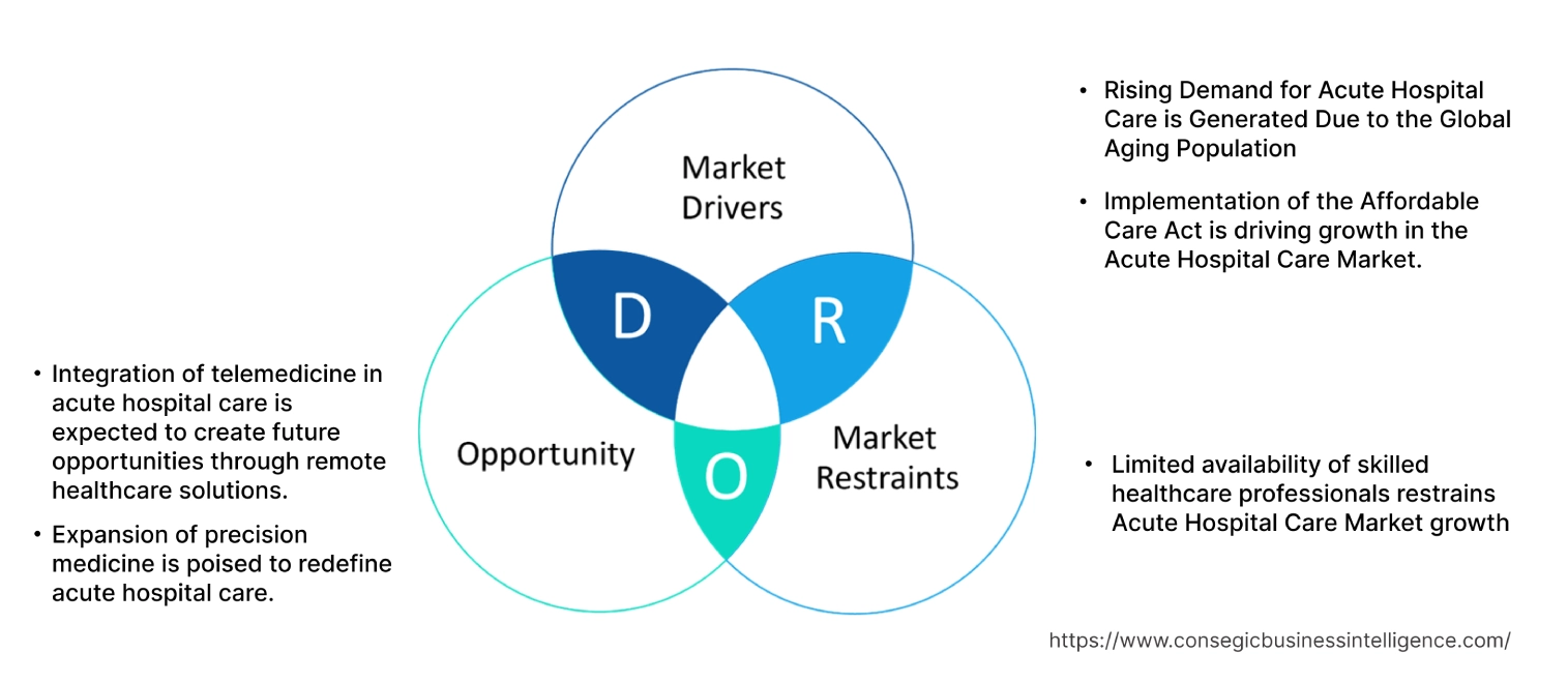 Acute Hospital Care Market Dynamics