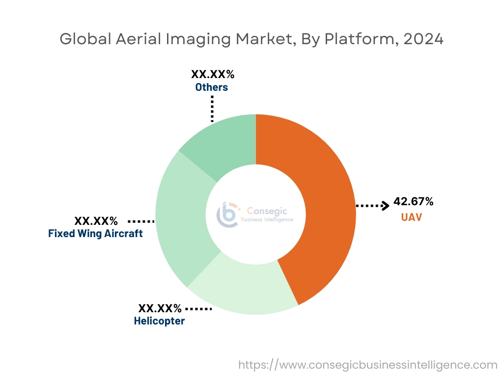 Aerial Imaging Market By Platform