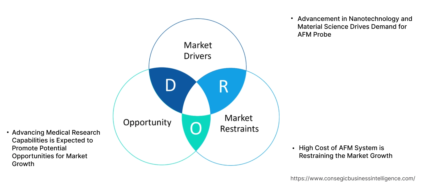AFM Probe Market Dynamics