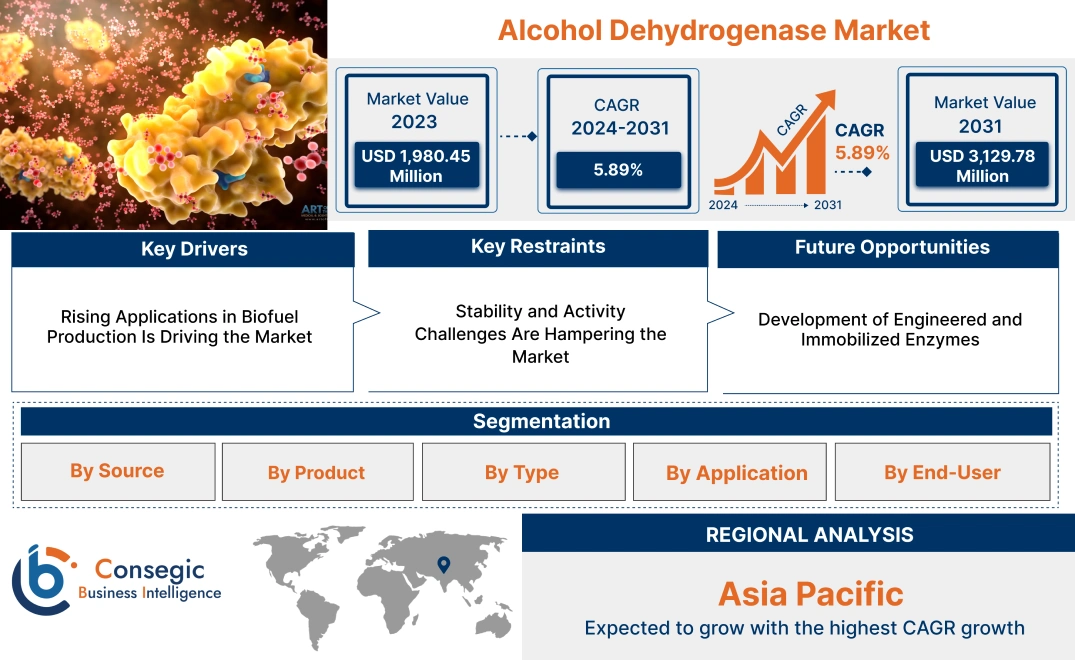 Alcohol Dehydrogenase Market Alcohol Dehydrogenase Market