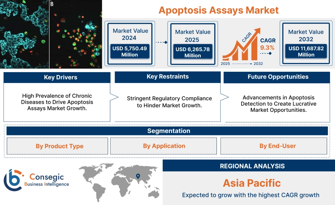 Apoptosis Assays Market Apoptosis Assays Market