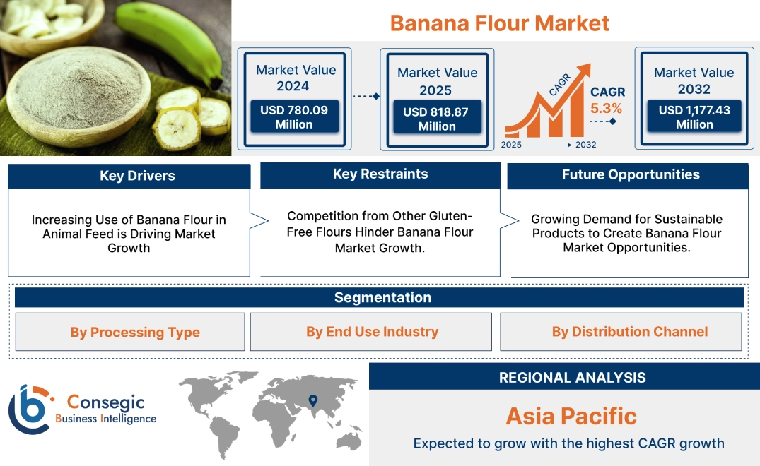 Banana Flour Market Banana Flour Market
