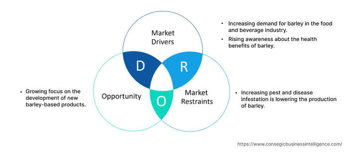 Barley Market Dynamics Barley Market Dynamics