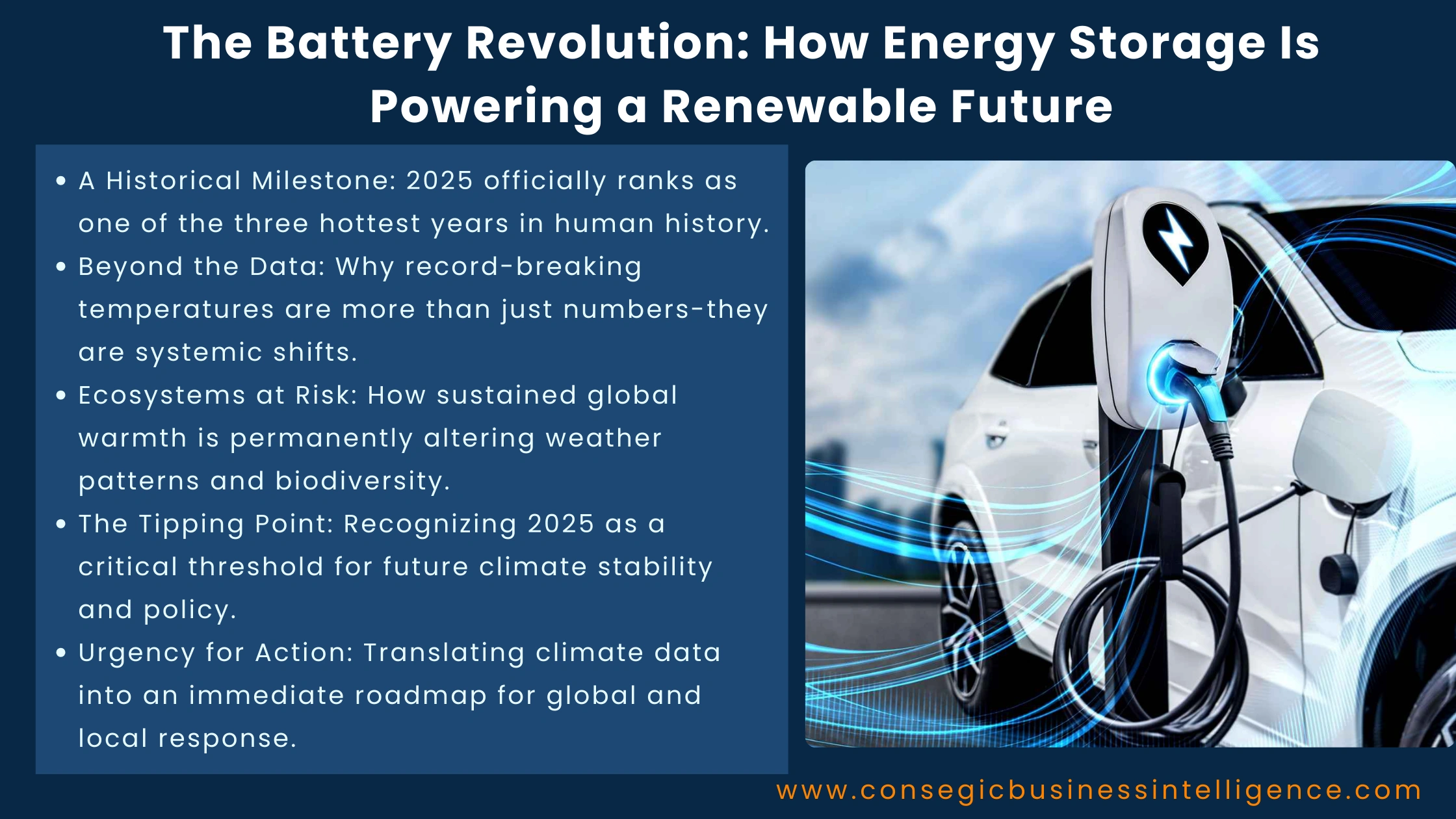 The Battery Revolution: How Energy Storage Is Powering a Renewable Future Blog