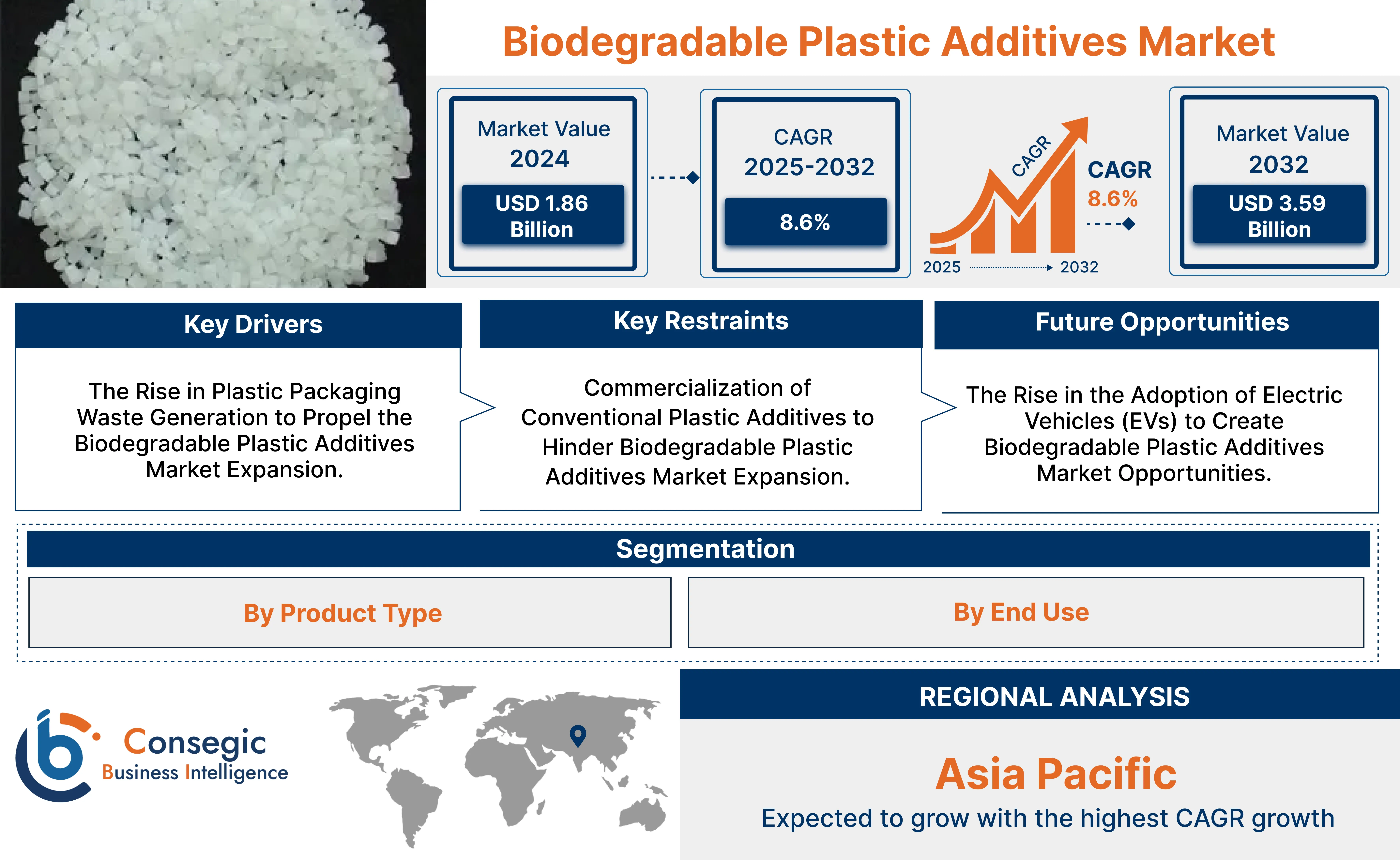 Biodegradable Plastic Additives Market 