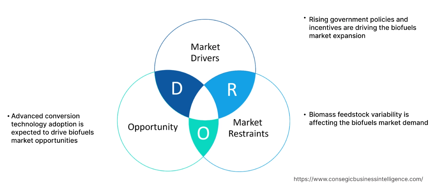 Biofuels Market Dynamics