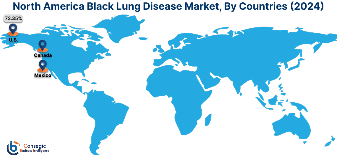 Black Lung Disease Market By Country Black Lung Disease Market By Country
