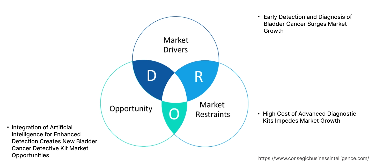 Bladder Cancer Detective Kit Market Dynamics