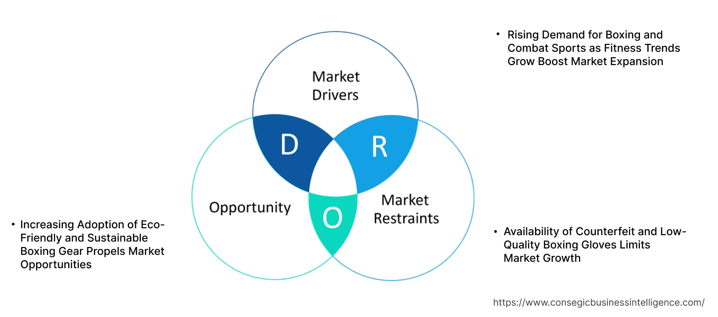Boxing Gloves Market Dynamics