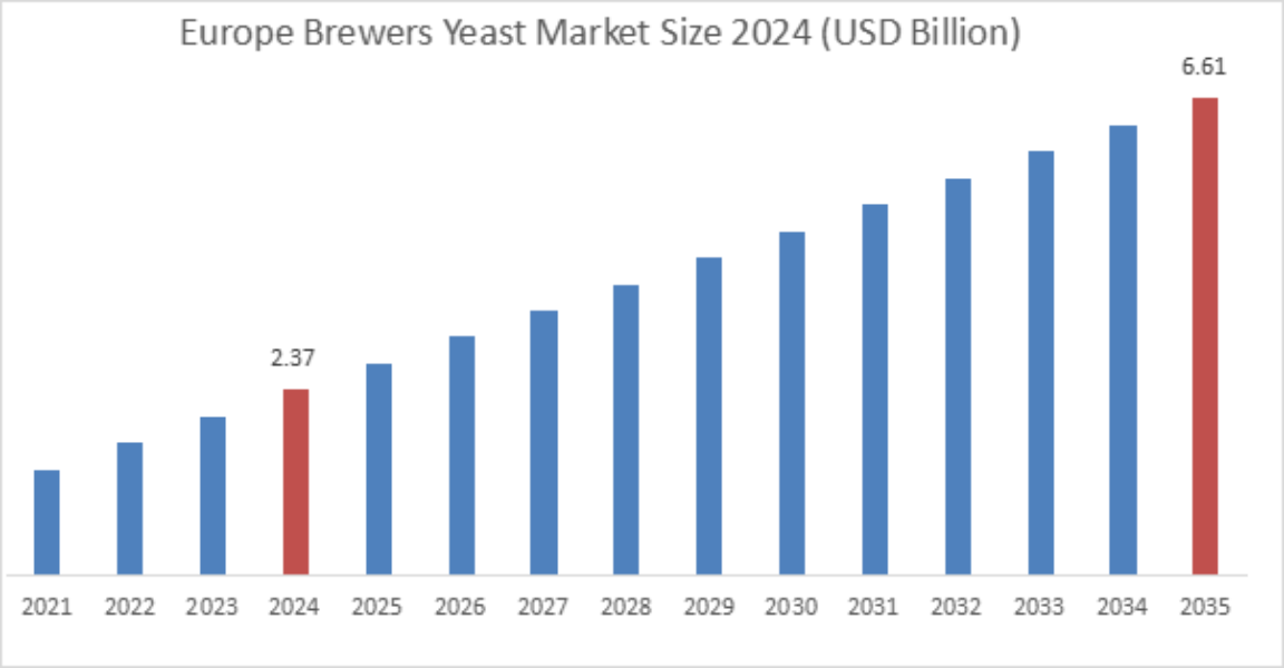 Brewers Yeast Market By Region