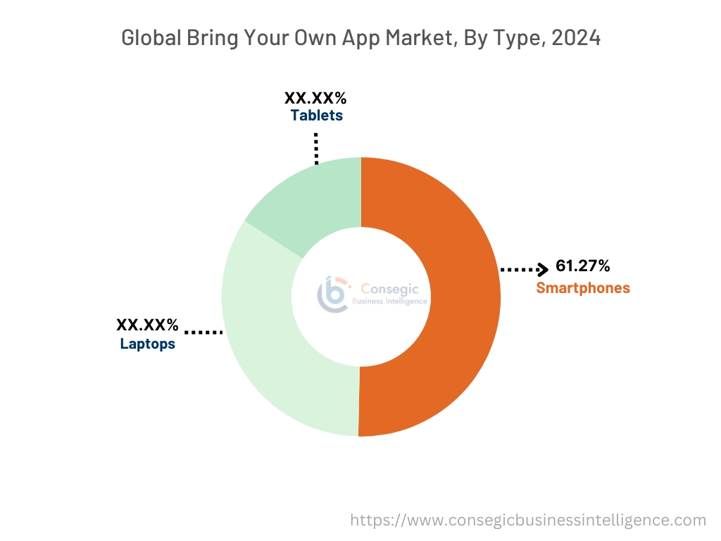 Bring Your Own App Market By Type