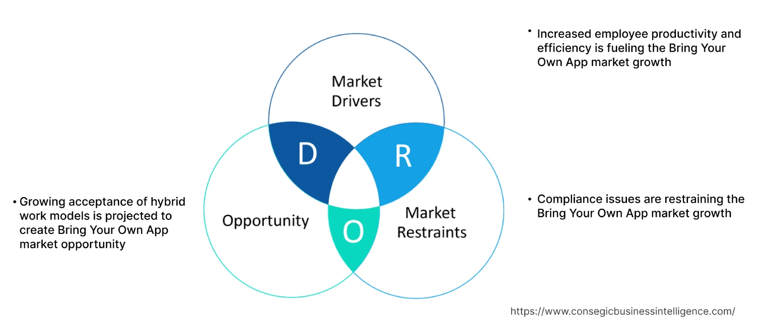 Bring Your Own App Market Dynamics