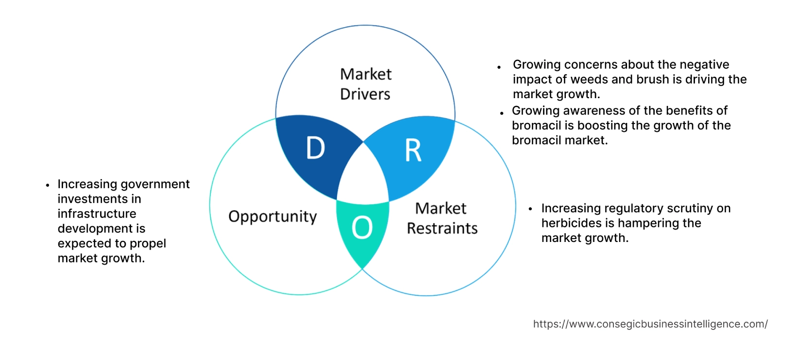 Bromacil Market  Dynamics