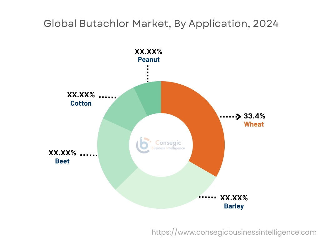 Butachlor Market By Application