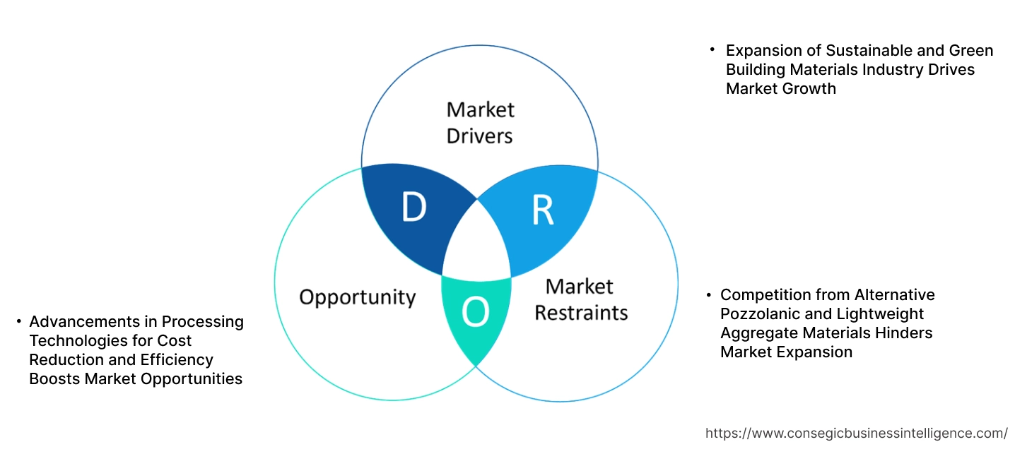 Calcined Shale Market Dynamics Calcined Shale Market Dynamics