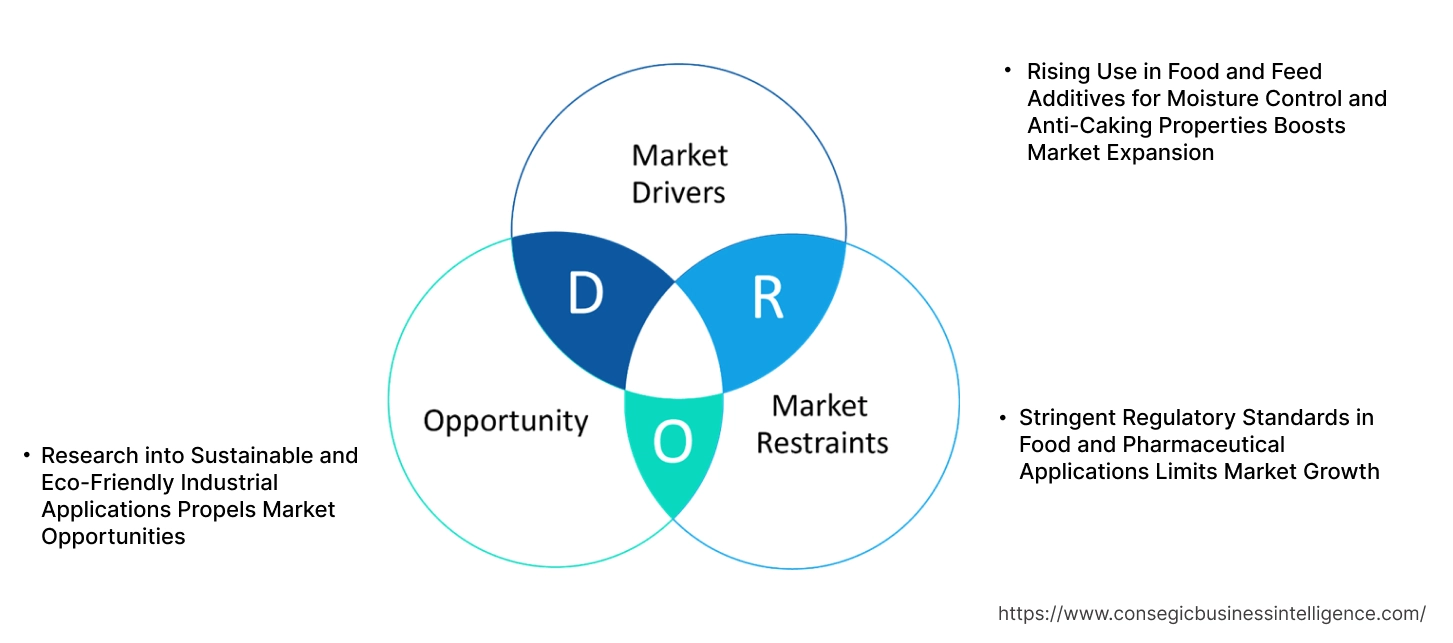 Calcium Aluminosilicate Market Dynamics