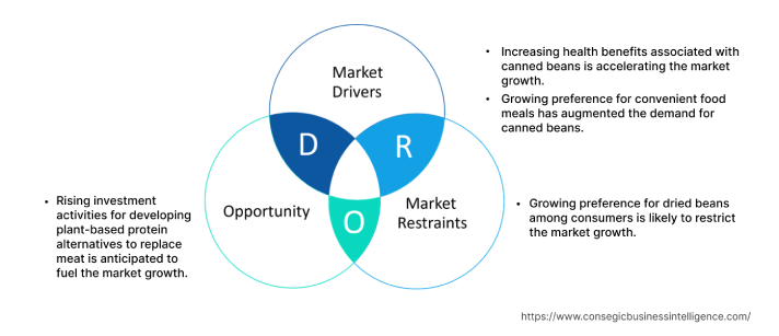 Canned Beans Market  Dynamics