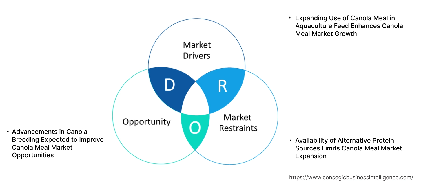 キャノーラミール市場のダイナミクス キャノーラミール市場のダイナミクス
