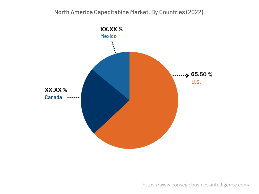 North America Capecitabine Market, By Countries (2022)