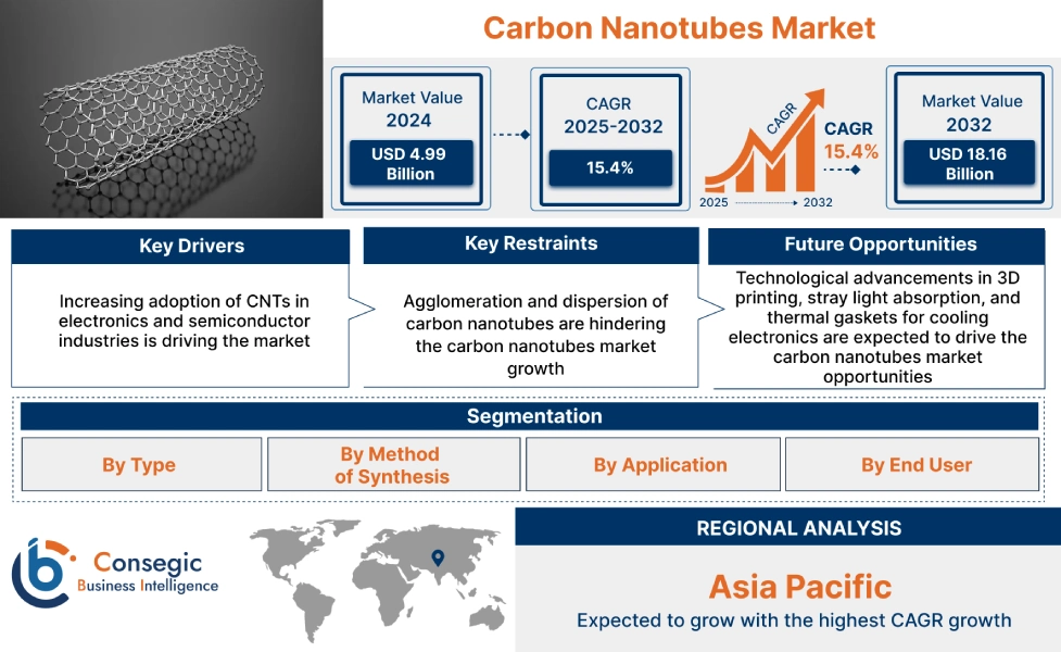 탄소 나노튜브시장2025-2032년 규모, 점유율 및 성장 예측