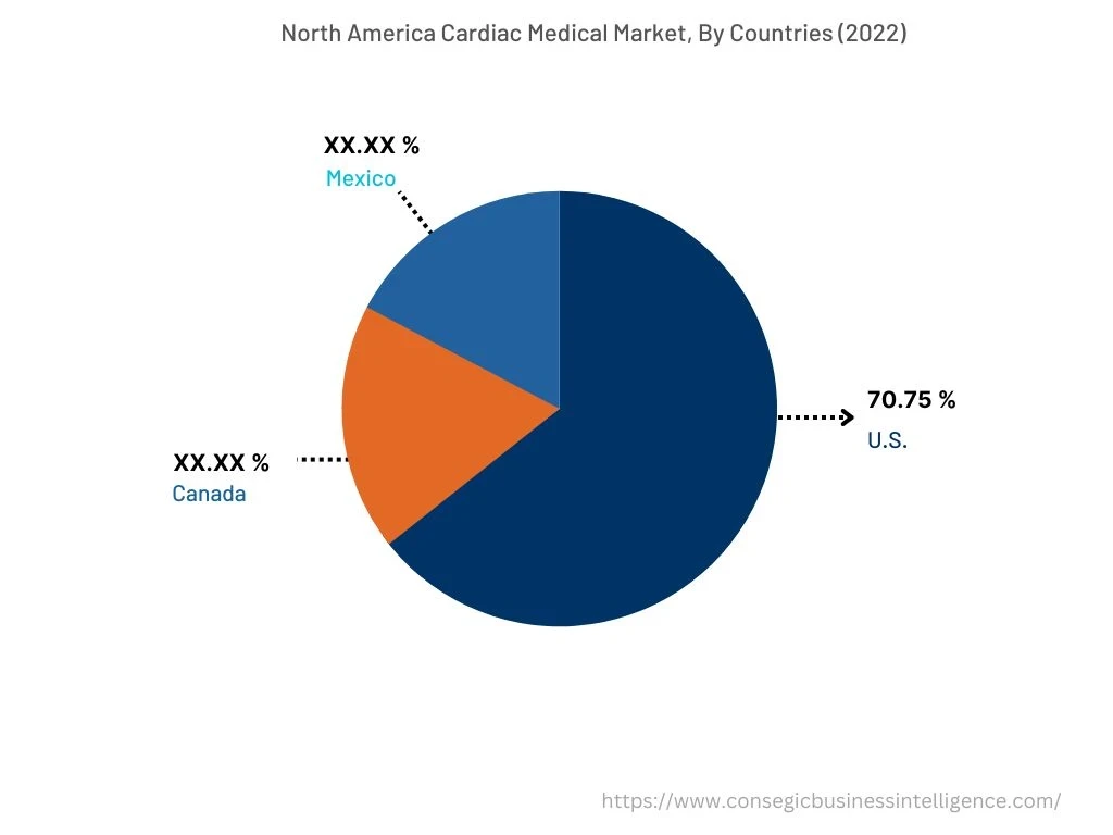 Asia Pacific Cardiac Medical Device Market, By Countries (2022)