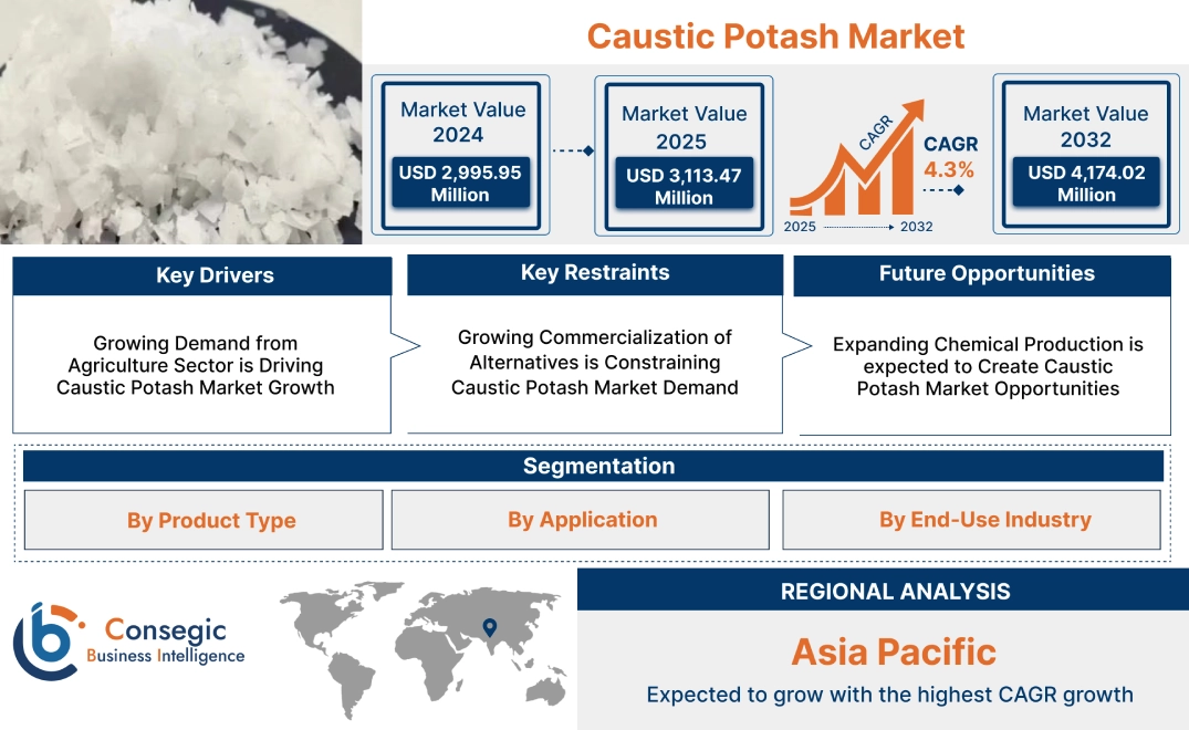 Caustic Potash Market Caustic Potash Market