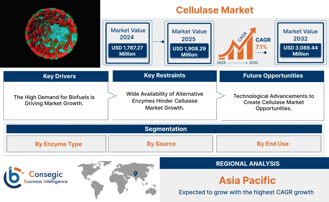 Cellulase Market Cellulase Market