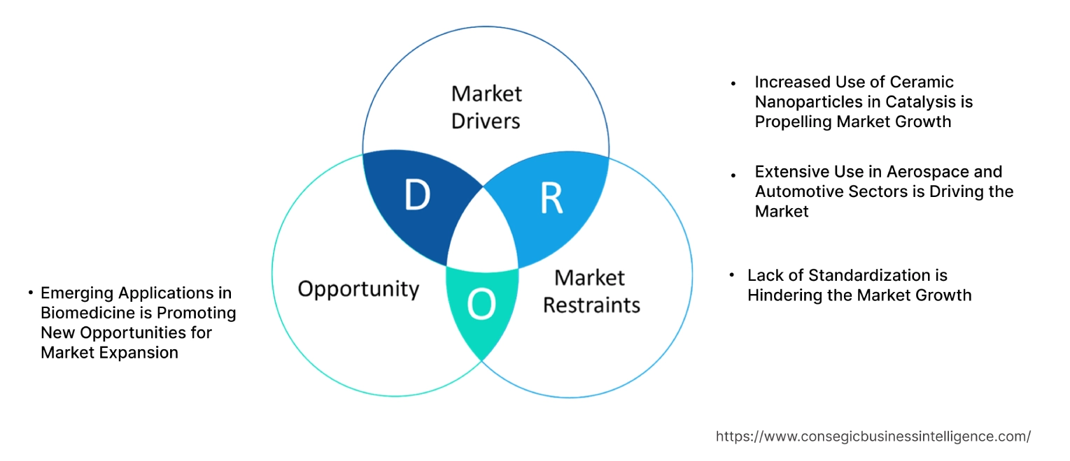 Ceramic Nanoparticles Market Dynamics
