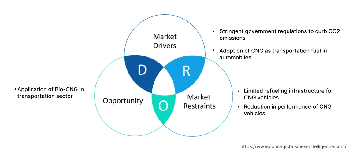 Compressed Natural Gas (CNG) Market  Dynamics