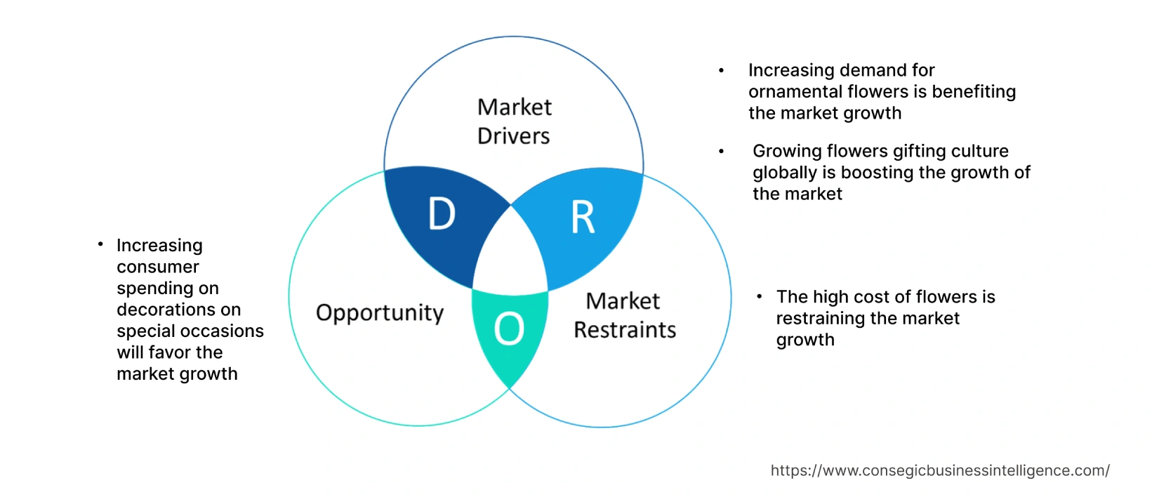 Consumer Floriculture Market Dynamics