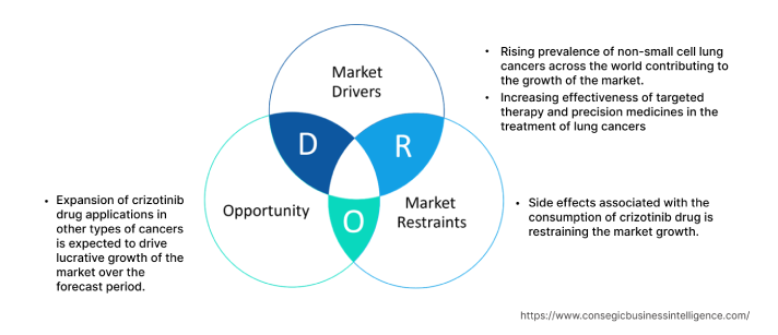 Crizotinib Market  Dynamics