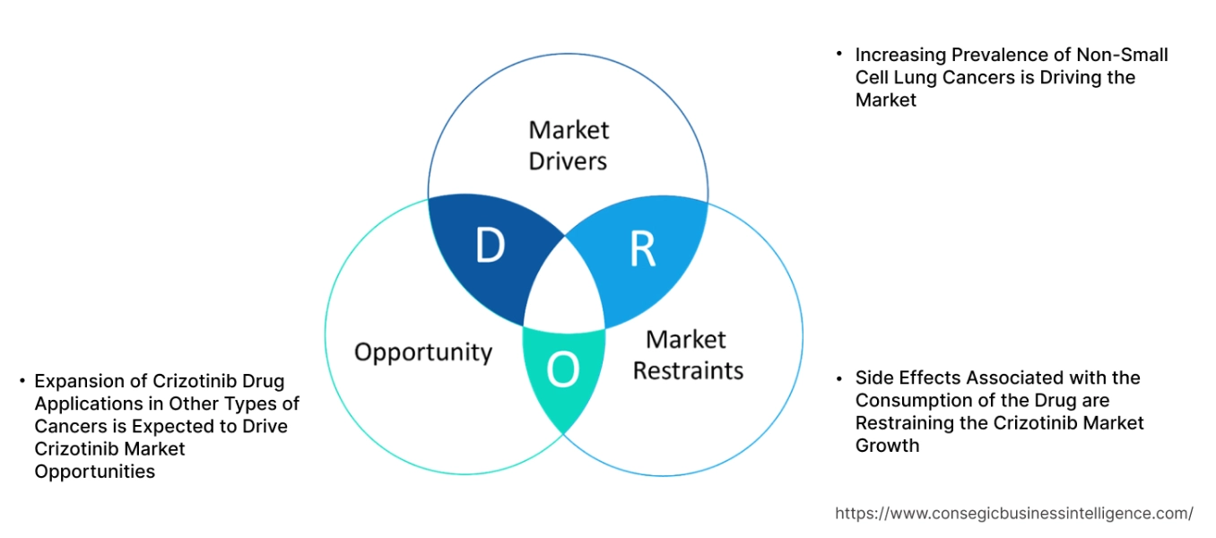 Crizotinib Market Dynamics