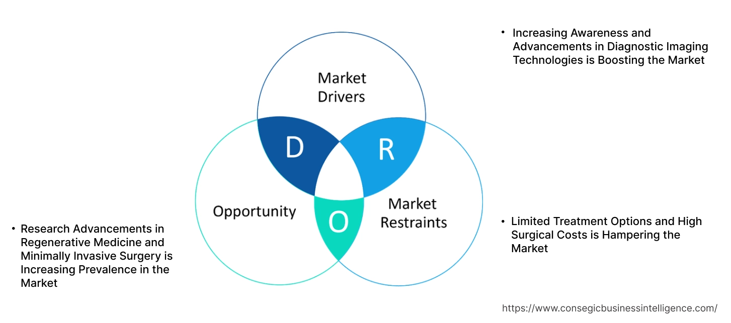 Diastematomyelia Market Dynamics Diastematomyelia Market Dynamics