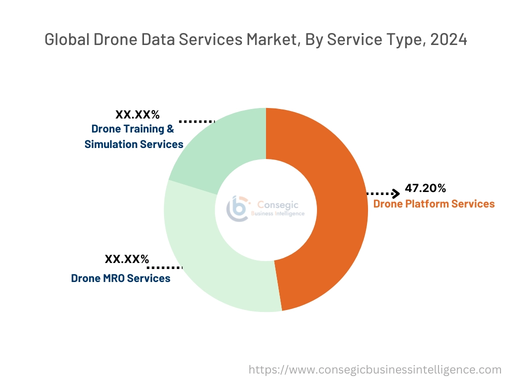 Drone Data Services Market By Service Type Drone Data Services Market By Service Type