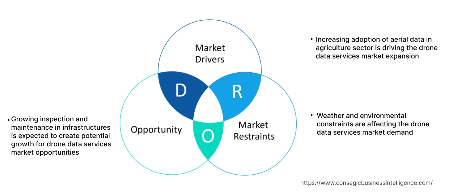 Drone Data Services Market Dynamics Drone Data Services Market Dynamics