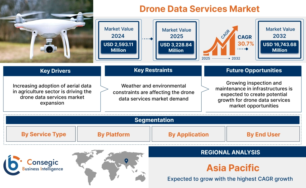 Drone Data Services Market Drone Data Services Market