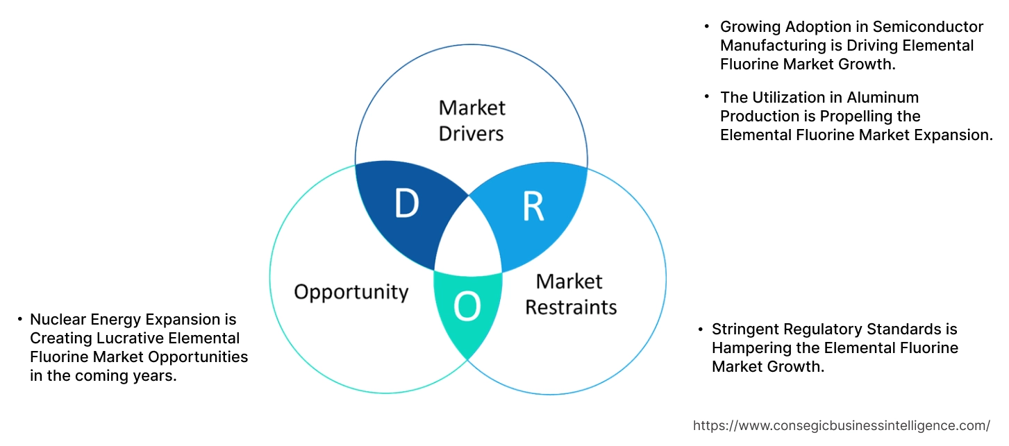 Elemental Fluorine Market Dynamics