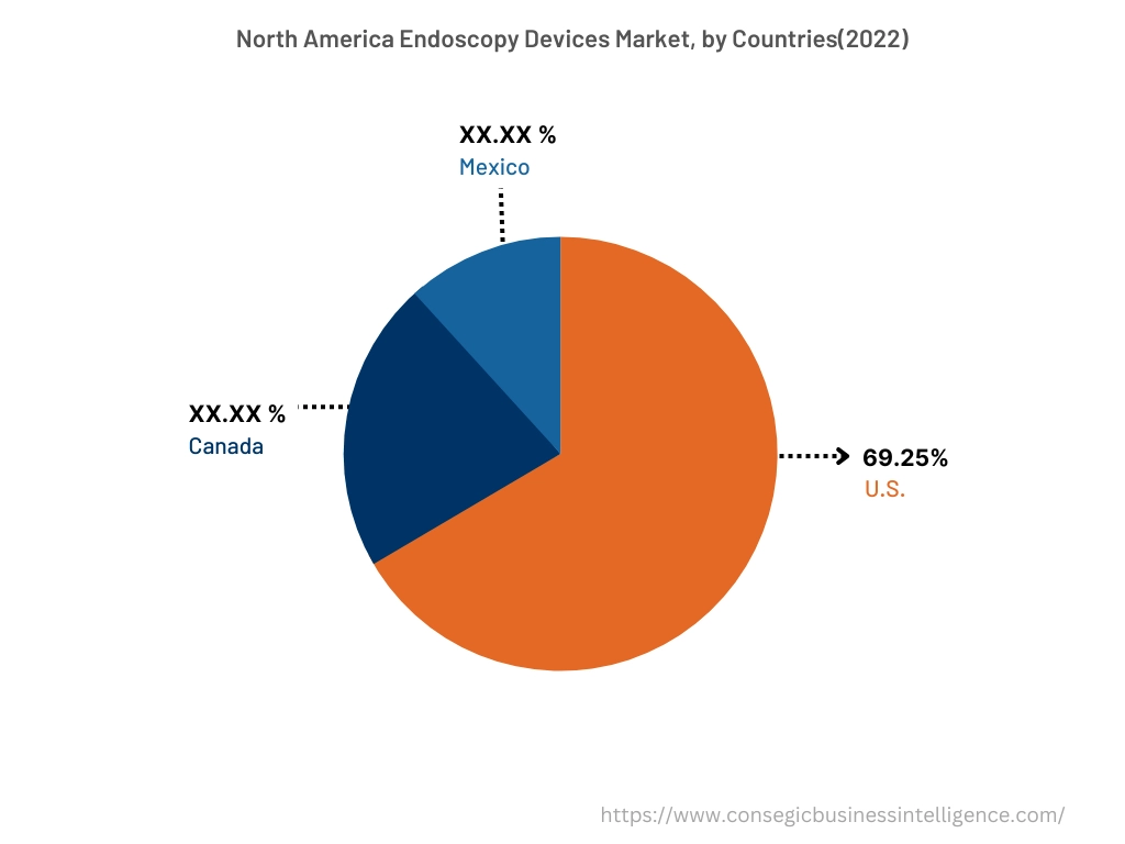 Endoscopy Devices Market By Country