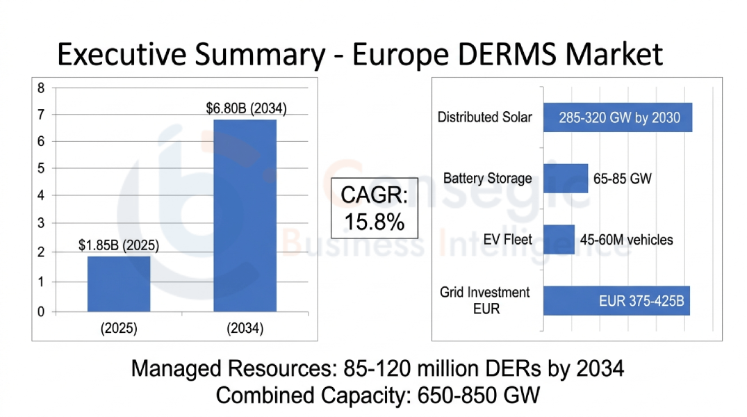 Europe Distributed Energy Resource Management System Market Insights