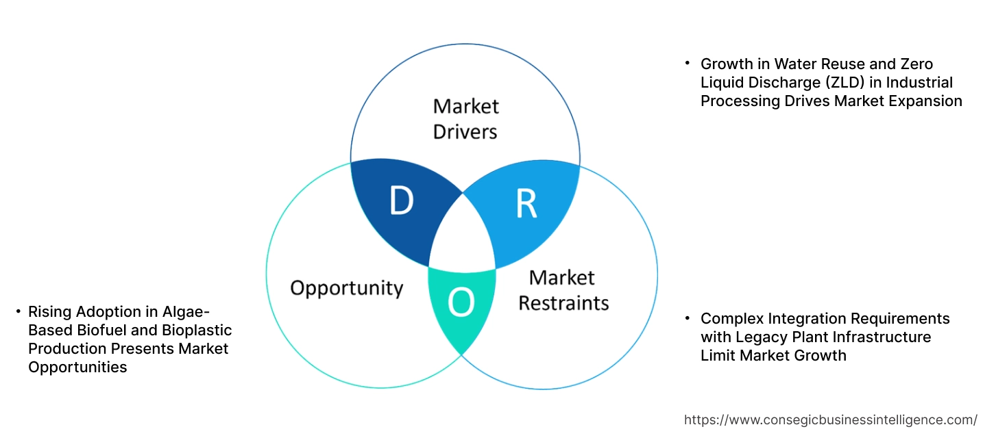 Filtration and Separation Equipment Market Dynamics