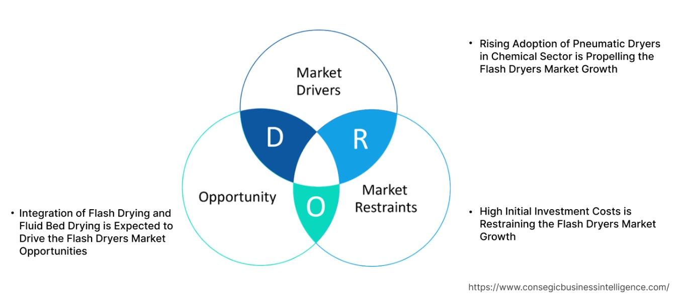 Flash Dryers Market Dynamics