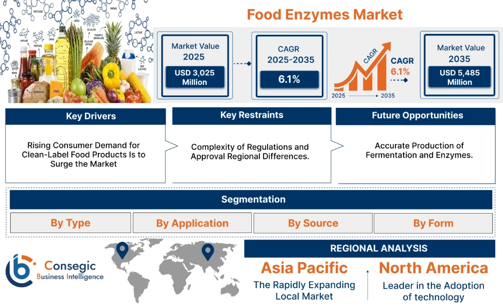 Food Enzymes Market Insights Food Enzymes Market Insights